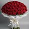 Букет 101 Красная роза Блэк Мэджик в Золотухино