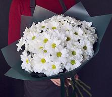 Букет цветов из:  Хризантемы #REPLACE_PRED# Золотухино