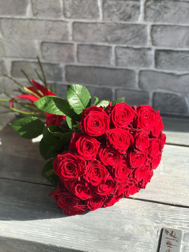 Букет Красные розы Фридом в Золотухино