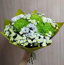 Букет цветов из:  Хризантемы #REPLACE_PRED# Золотухино