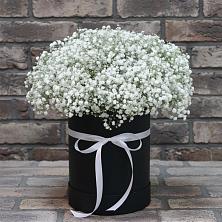 Цветочная композиция из Гипсофила в шляпной коробке в Золотухино