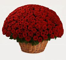 Премиум букет из: Розы в Золотухино