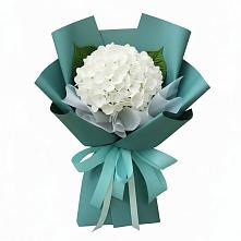 Букет цветов из:  Гортензия в Золотухино